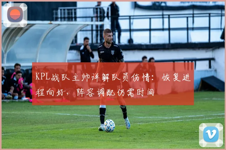 KPL战队主帅详解队员伤情：恢复进程向好，阵容调配仍需时间