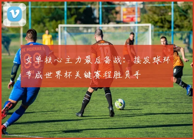 女单核心主力最后备战：接发球环节成世界杯关键赛程胜负手